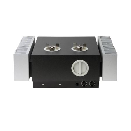 InPol ear matte black